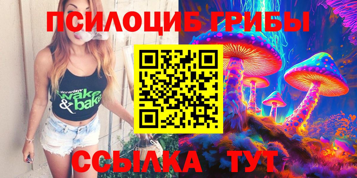 Галлюциногенные грибы Psilocybine cubensis  Вход с VPN  Саки 