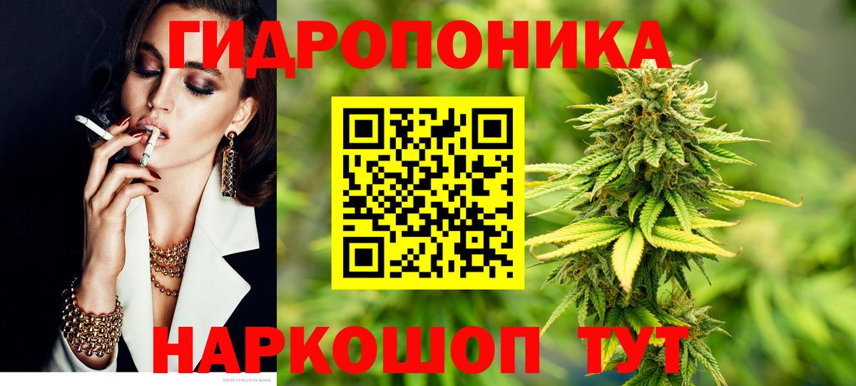 Канабис Amnesia Саки